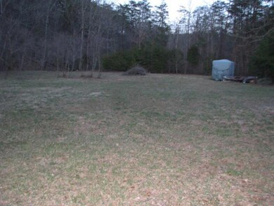 Cleared camping area