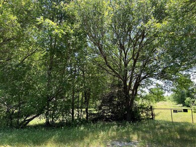 Tract 3 County Road 2175, Decatur, TX 76234 - photo 3