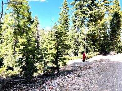 1110 W Big Horn Cir, Duck Creek Village, UT 84762 - photo 4