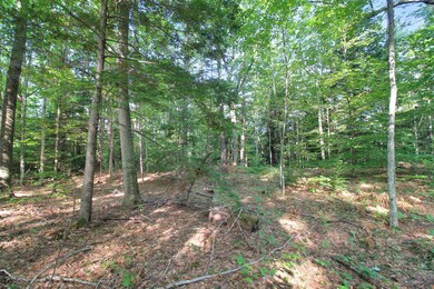 218-039 New Hampshire Route 175, Thornton, NH 03285 - photo 7