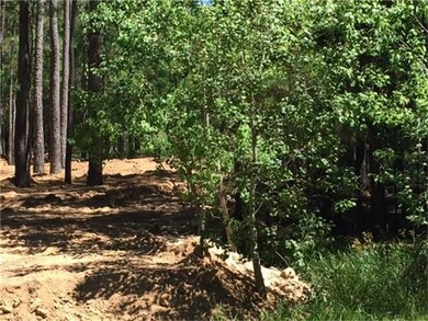 0000 Breckenridge, Magnolia, TX 77354 - photo 2