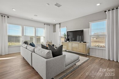 REPRESENTATIVE PHOTO