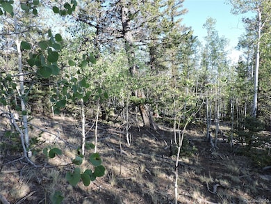 170 Buckskin Ct, Como, CO 80456 - photo 3