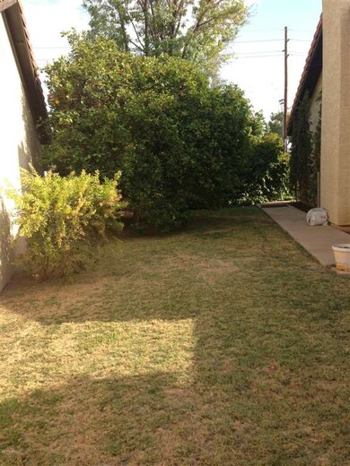side yard with citrus