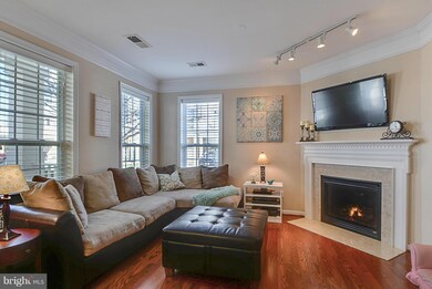 41957 Blue Flag Terrace, Stone Ridge, VA 20105 - photo 5