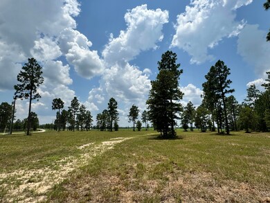 8.72 Acres Tandem Trail Windso