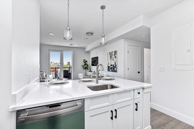 64 Alpine St unit 202, Boston, MA 02119 - photo 3