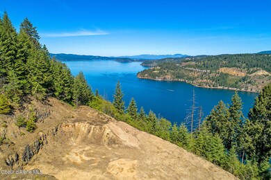Aerial_BridgerTrailLot-3