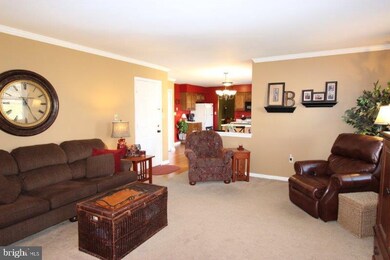 213 Sycamore Ln, New Holland, PA 17557 - photo 6