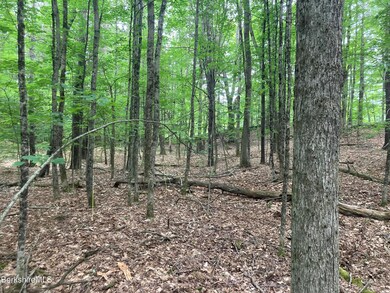 unlisted-address, Cummington, MA 01026 - photo 5