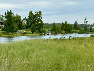 Lot 8 Mograin, Cheboygan, MI 49721 - photo 6