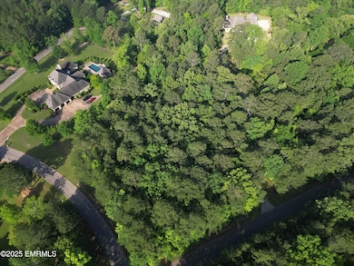 DJI_0220