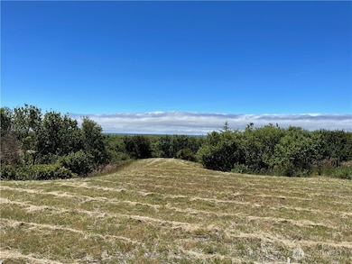 72 Dunes Ln, Ocean Shores, WA 98569 - photo 5