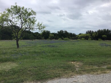 20011 Misty Valley Cir, Whitney, TX 76692 - photo 4