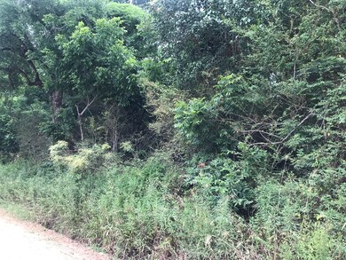 000 Brady Rd, Cordele, GA 31015 - photo 4