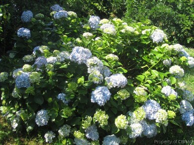 Mature Plantings