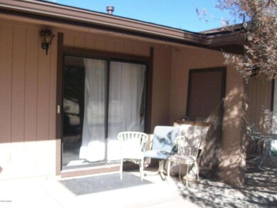 Rear patio kitchen door & storage