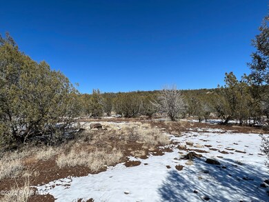 IMG_0171