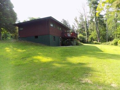 Back view