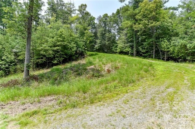 301 the Vines Blvd unit 20, Marshall, NC 28753 - photo 2