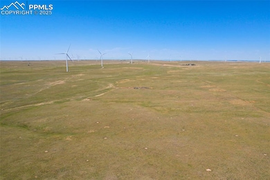 13150 Nixon Point, Calhan, CO 80808 - photo 5