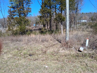 2 lots Lutie Rd, Wilburton, OK 74578 - photo 5