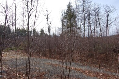 Lot 31 Scripps Ln, Mason, NH 03048 - photo 5