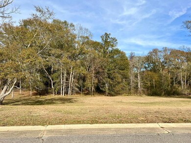 4 & 6 Joshbury Cir, Laurel, MS 39443 - photo 4