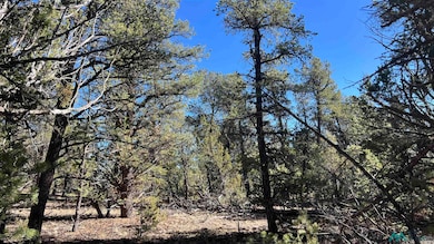 TBD Paradise Loop, Quemado, NM 87829 - photo 5