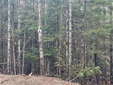 Lot I Whitetail Trail, Greenville, ME 04441 - photo 7
