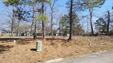 NHN Lot 49 Magenta Ln, Picayune, MS 39466 - photo 3