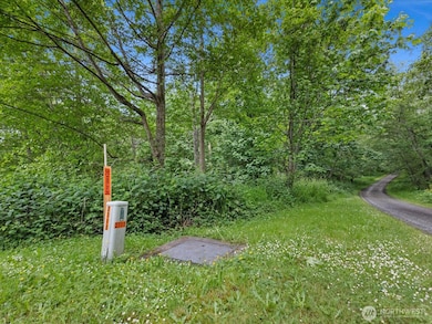 4061 S Eagle Ridge Dr, Camano, WA 98282 - photo 6