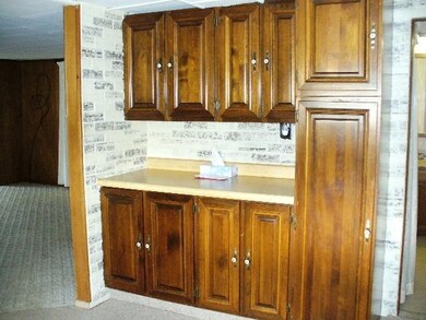 700 S Orange St, Sturgis, MI 49091 - photo 6