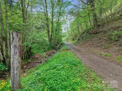 0 Fire Scald Rd unit CAR4252435, Green Mountain, NC 28740 - photo 7