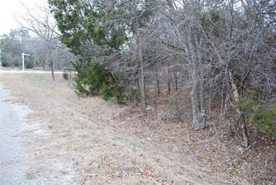 14067 Sandy Oaks Dr, Whitney, TX 76692 - photo 3