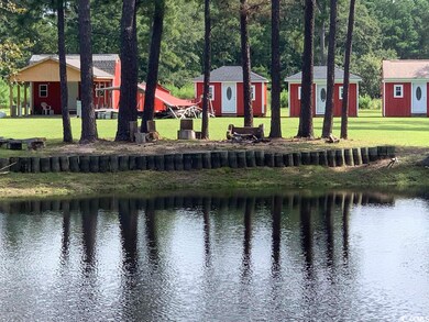 139 Pumpkin Ash Loop, Conway, SC 29527 - photo 2