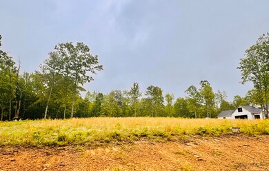 IMG_8818