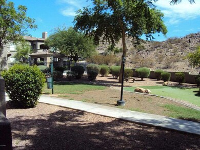 View from Patio
