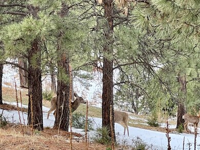 0 Mountain View unit B36 22-407, Trinidad, CO 81082 - photo 7