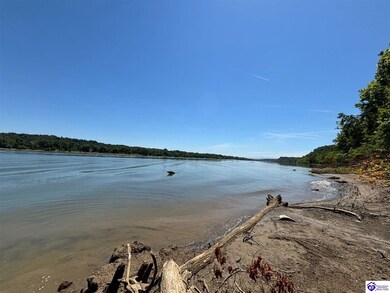 110 Russell Landing Rd, Brandenburg, KY 40108 - photo 4