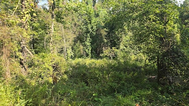 Nelson Corner Rd, Roxie, MS 39661 - photo 7