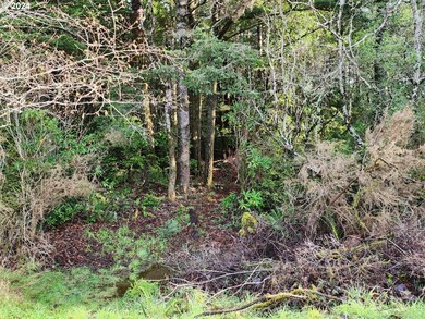 0 Kreiger Ln unit 122 24581015, Port Orford, OR 97465 - photo 3