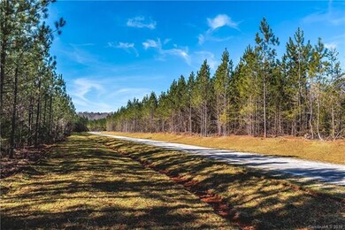 Lot 11B Gentle Breeze Ln, Iron Station, NC 28080 - photo 6