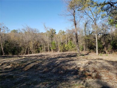 1024 Mesquite Ct unit 2420, Grand Prairie, TX 75104 - photo 3