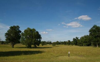 LOT26 Mandiba Dr, Lake City, FL 32024 - photo 2