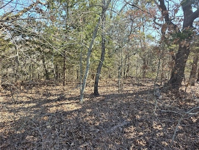 View of local wilderness with a forest view