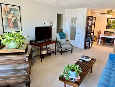 368 Elliot St unit 8, Newton Upper Falls, MA 02464 - photo 3