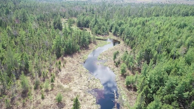 DJI_0309