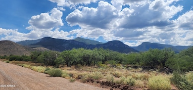 TBD E Ramsey Canyon Rd Lot D -- unit D, Hereford, AZ 85615 - photo 3