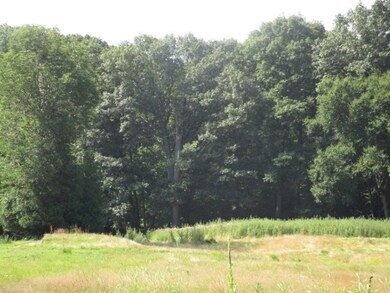IMG_1873